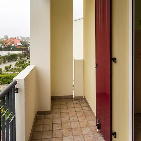 Villaggio Calycanthus *