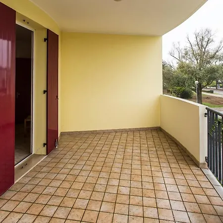 Villaggio Calycanthus *