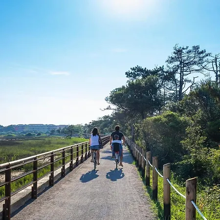 Апартаменты Villaggio Calycanthus *